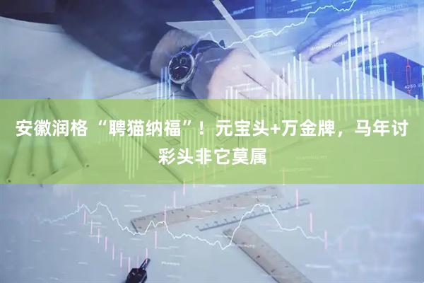 安徽润格 “聘猫纳福”！元宝头+万金牌，马年讨彩头非它莫属