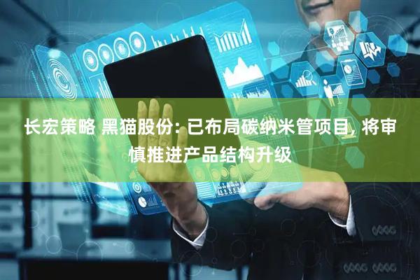 长宏策略 黑猫股份: 已布局碳纳米管项目, 将审慎推进产品结构升级