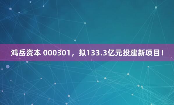 鸿岳资本 000301，拟133.3亿元投建新项目！