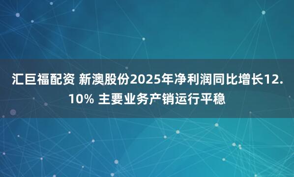 汇巨福配资 新澳股份2025年净利润同比增长12.10% 主要业务产销运行平稳