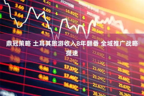 鼎冠策略 土耳其旅游收入8年翻番 全域推广战略提速