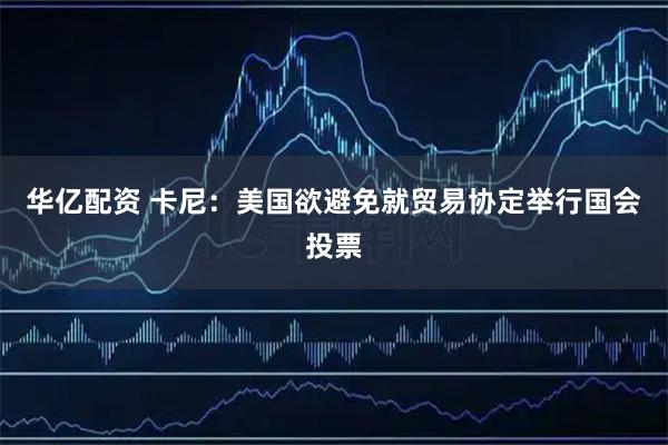 华亿配资 卡尼：美国欲避免就贸易协定举行国会投票