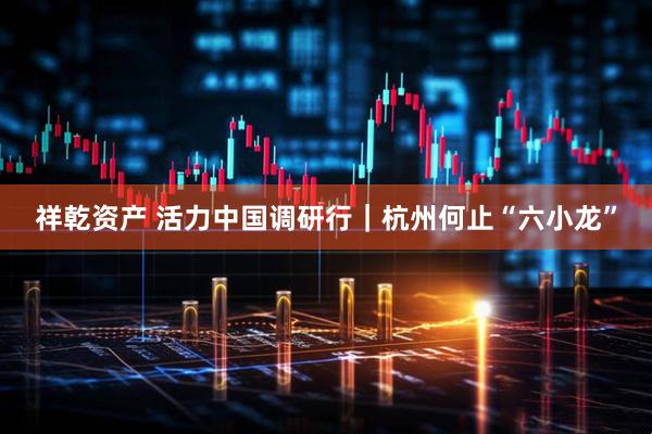 祥乾资产 活力中国调研行｜杭州何止“六小龙”