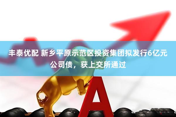 丰泰优配 新乡平原示范区投资集团拟发行6亿元公司债，获上交所通过