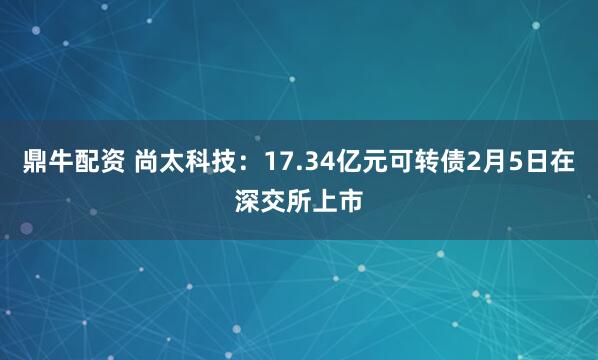 鼎牛配资 尚太科技：17.34亿元可转债2月5日在深交所上市