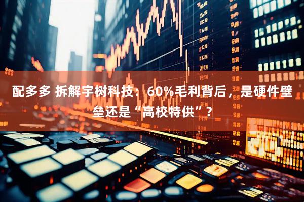 配多多 拆解宇树科技：60%毛利背后，是硬件壁垒还是“高校特供”？