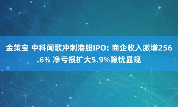 金策宝 中科闻歌冲刺港股IPO: 商企收入激增256.6% 净亏损扩大5.9%隐忧显现