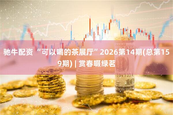 驰牛配资 “可以喝的茶展厅”2026第14期(总第159期) | 赏春啜绿茗