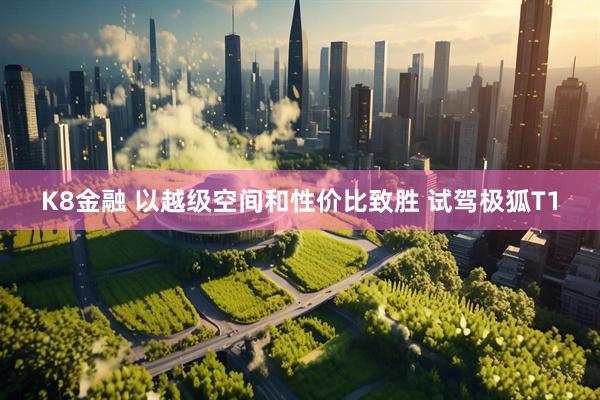 K8金融 以越级空间和性价比致胜 试驾极狐T1