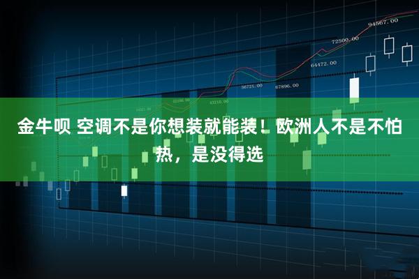 金牛呗 空调不是你想装就能装！欧洲人不是不怕热，是没得选