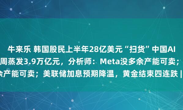 牛来乐 韩国股民上半年28亿美元“扫货”中国AI全景图；美半导体市值一周蒸发3.9万亿元，分析师：Meta没多余产能可卖；美联储加息预期降温，黄金结束四连跌 | 一周国际财经