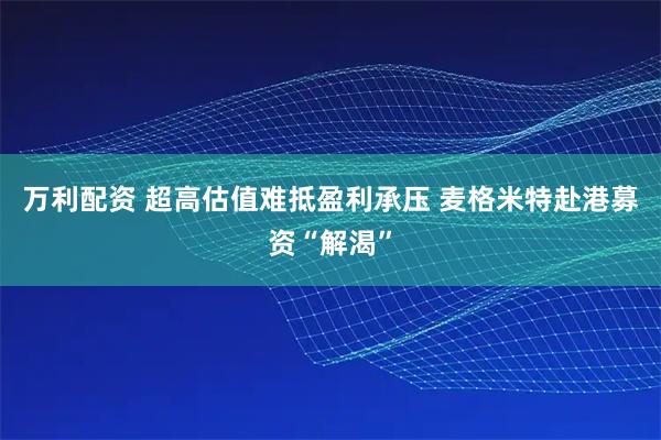 万利配资 超高估值难抵盈利承压 麦格米特赴港募资“解渴”
