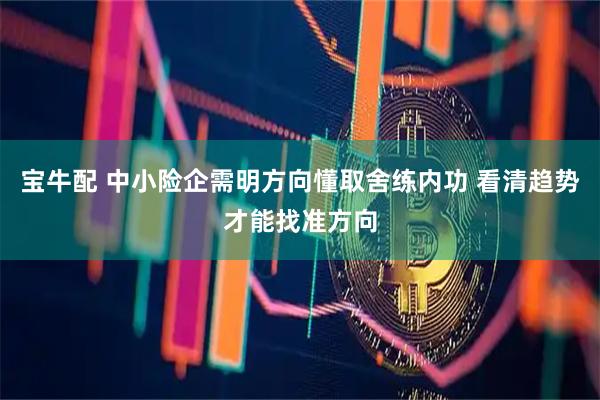 宝牛配 中小险企需明方向懂取舍练内功 看清趋势才能找准方向